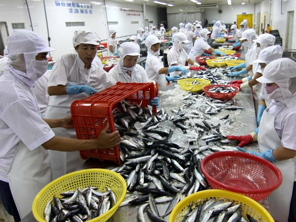 Xuất khẩu nông, lâm, thủy sản bảy tháng đầu năm đạt 17,43 tỷ USD ảnh 1