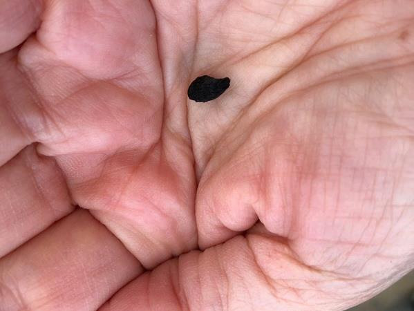 Cháy Nhà thờ Đức Bà Paris: Tổng thống Pháp Macron đến hiện trường ảnh 2