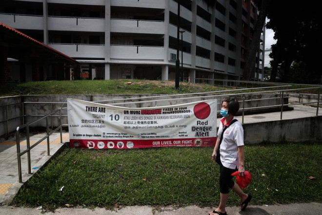 Ảnh chỉ có tính minh họa. (Nguồn: The Straits Times) Singapore ghi nhận số ca mắc sốt xuất huyết trong tuần cao kỷ lục ảnh 1