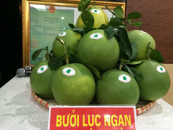"Ngày hội trái cây Lục Ngạn" quảng bá các sản phẩm nông sản chủ lực ảnh 1