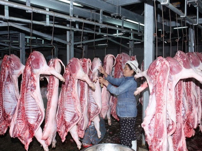 Trung tâm giết mổ gia súc Đà Sơn, Đà Nẵng. (Ảnh: Đình Huệ/TTXVN) Năm điểm nhấn nổi bật của ngành chăn nuôi trong năm 2016 ảnh 1