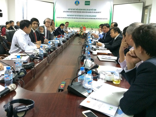 Khó xây dựng thương hiệu lúa gạo nếu liên tục đưa ra nhiều giống mới ảnh 2