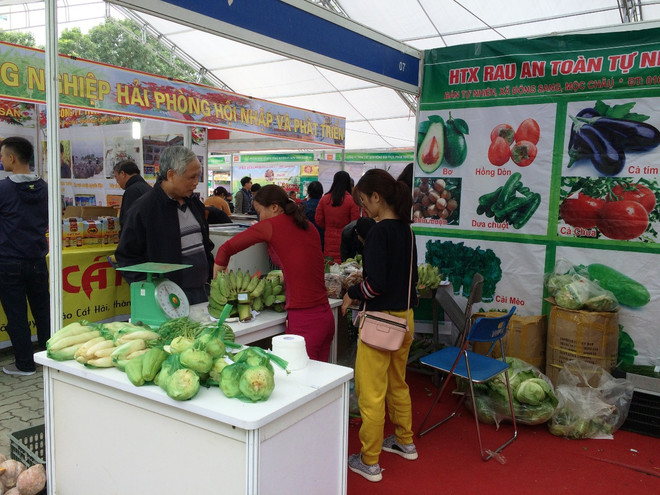 Gian hàng rau củ đã bán sắp hết. (Ảnh: Thanh Tâm/Vietnam+) Hội chợ AgroViet 2016 “cháy hàng” ngay trong buổi khai mạc ảnh 7