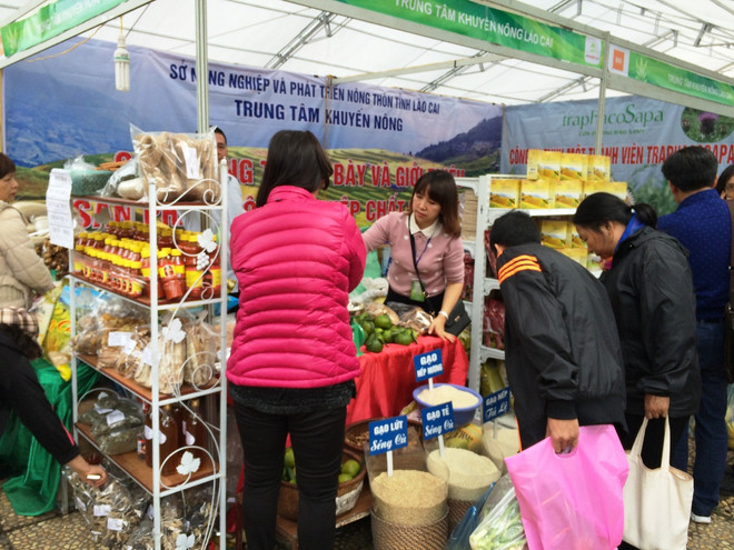 Người tiêu dùng lựa chọn các sản phẩm bày bán tại Hội chợ. (Ảnh: Thanh Tâm/Vietnam+) Hội chợ AgroViet 2016 “cháy hàng” ngay trong buổi khai mạc ảnh 3