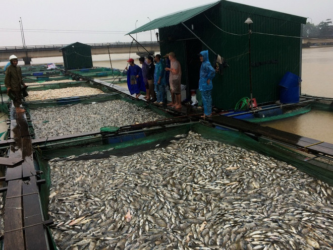 Yêu cầu ngành ngân hàng hỗ trợ các tỉnh chịu thiệt hại do bão số 12 ảnh 1