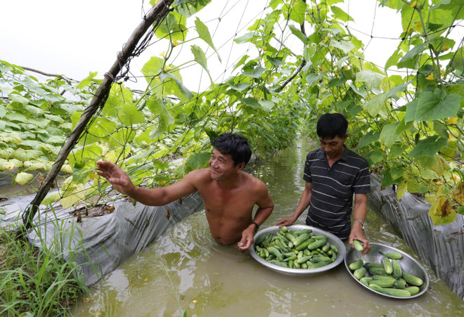 Ngân hàng Chính sách xã hội: Hành trình kiến tạo giá trị mới ảnh 2