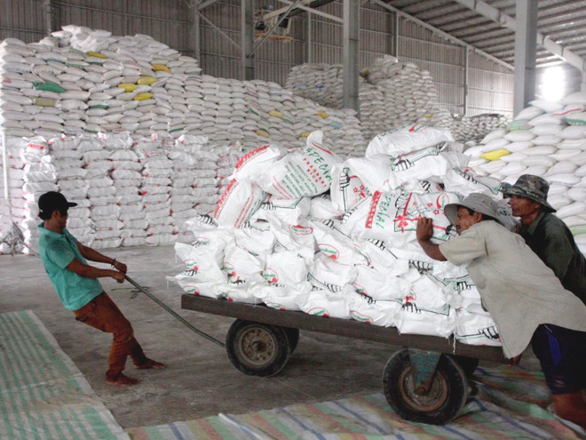 Kim ngạch xuất khẩu nông lâm thủy sản 5 tháng đạt hơn 12 tỷ USD ảnh 1