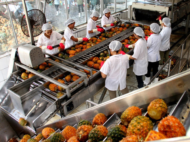 La Nina được dự báo làm tăng mưa, nông nghiệp Việt có cơ hội khởi sắc ảnh 2