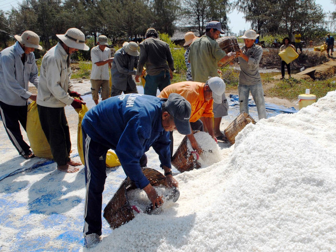 Khẩn trương phân tích các chỉ tiêu kim loại nặng trong muối ăn ảnh 1