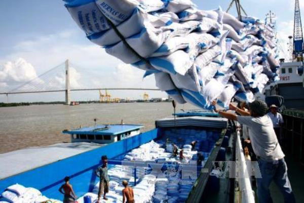 Kim ngạch xuất khẩu nông lâm thủy sản 5 tháng đạt 13,7 tỷ USD ảnh 1