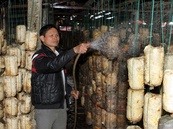 VIB không áp dụng phí phạt khi khách hàng trả nợ trước hạn ảnh 1