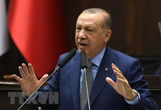 Tổng thống Erdogan: Không thể cấm Thổ Nhĩ Kỳ sở hữu vũ khí hạt nhân ảnh 1