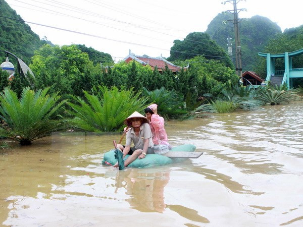 Ngân hàng Chính sách tạo điều kiện cho hộ vay khắc phục hậu quả mưa lũ ảnh 1