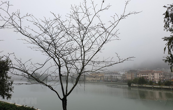 Bắc Bộ và Bắc Trung Bộ mưa rét, rét đậm trong ngày mùng 4 Tết ảnh 1