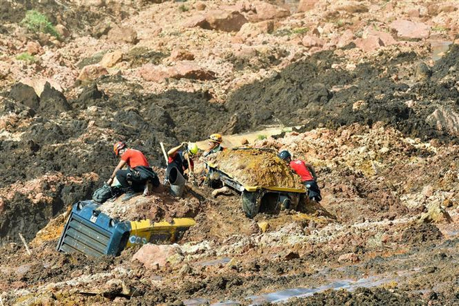 Vụ vỡ đập tại Brazil: Thiệt hại môi trường rất nghiêm trọng ảnh 1