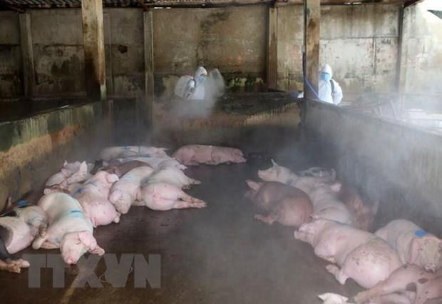 Tăng cường kiểm soát tín dụng vào lĩnh vực nóng, rủi ro ảnh 3