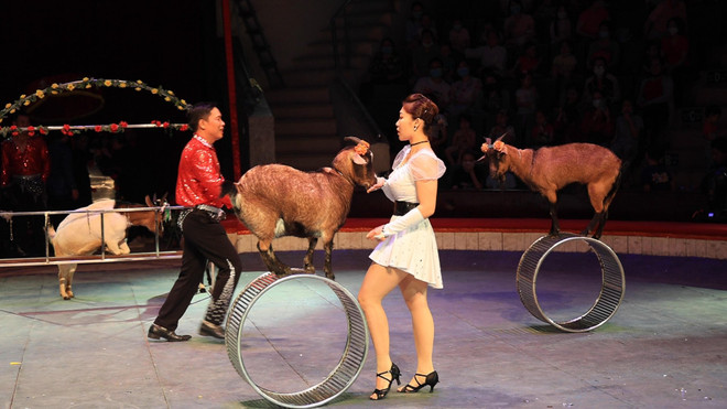 Đưa bé đi chơi đâu tại Hà Nội trong ngày Quốc tế thiếu nhi 1/6? ảnh 3