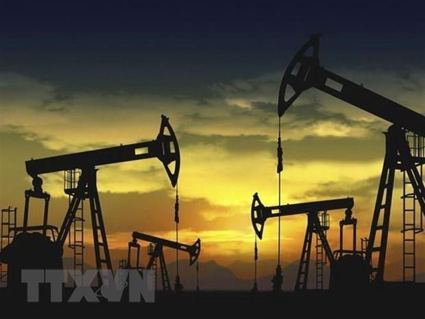 Cơ sở khai thác dầu thô. (Nguồn: Benzinga/TTXVN) Dự trữ dầu thô của Mỹ giảm mạnh khiến giá dầu đi lên ảnh 1