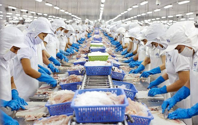 Nhiều doanh nghiệp sợ thanh tra nên không tham gia vào gói tín dụng 40.000 tỷ đồng. (Ảnh: Vietnam+) thuysan.jpg