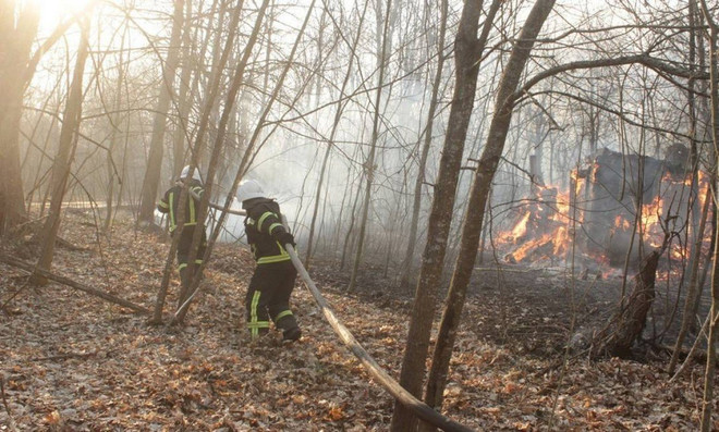 Ukraine: Cháy rừng vẫn tàn phá khu vực gần nhà máy hạt nhân Chernobyl ảnh 1