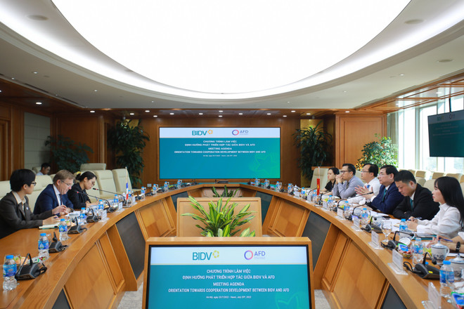 Lãnh đạo hai bên tại buổi làm việc. (Ảnh: Vietnam+) AFD và BIDV hợp tác trong tín dụng xanh, chống biến đổi khí hậu ảnh 1