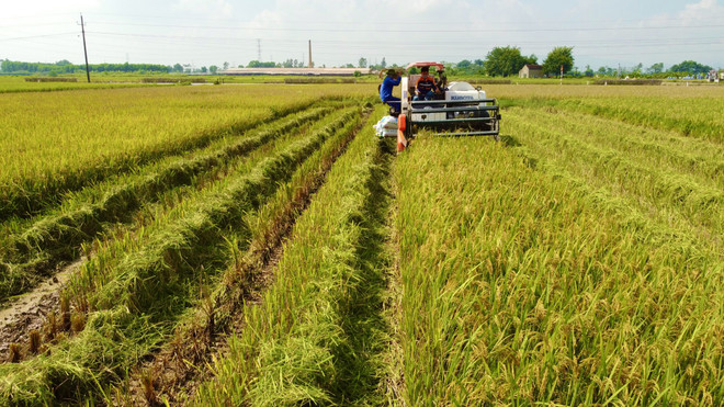 Ngân hàng VietinBank ưu đãi lãi suất trong lĩnh vực nông nghiệp ảnh 2