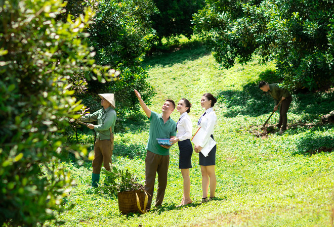 Cho vay chuỗi giá trị thúc đẩy phát triển kinh tế nông thôn bền vững ảnh 1