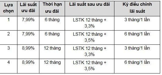 VIB ưu đãi cho vay tiêu dùng và sản xuất kinh doanh dịp Tết ảnh 2