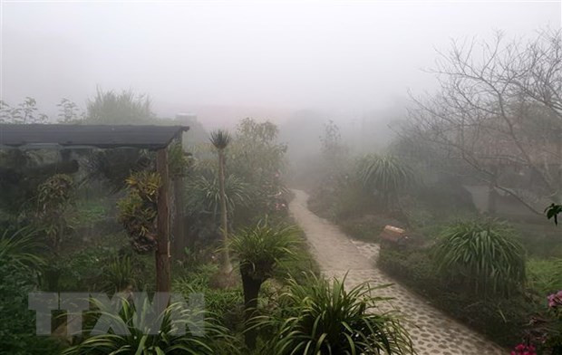 Khu vực Bắc Bộ sáng có sương mù, trưa chiều trời nắng ảnh 1