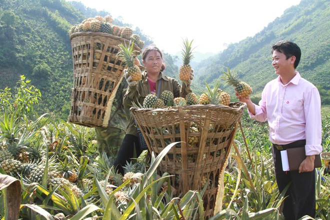 Người nghèo ở các xã nghèo của tỉnh Lào Cai có thêm cơ hội thoát nghèo từ nguồn vốn ngân sách địa phương chuyển sang (Ảnh: CTV) Tiếp thêm động lực giúp đồng bào vùng cao Lào Cai làm giàu ảnh 2