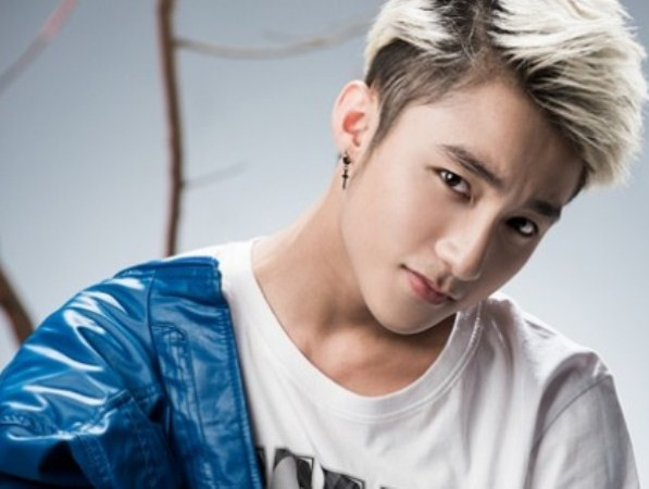 Tác giả "Because I miss you" xác nhận Sơn Tùng M-TP không đạo nhạc ảnh 1