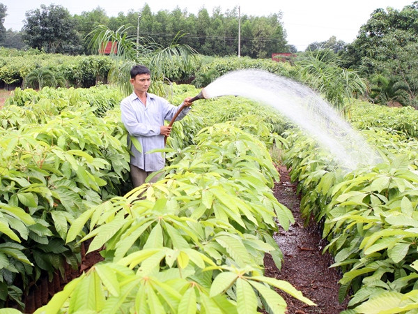 Chính phủ Đức tài trợ Việt Nam 8 triệu euro cho dự án bảo vệ rừng ảnh 1