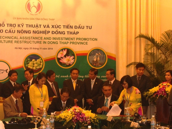 Đồng Tháp đột phá tái cơ cấu 5 nhóm hàng nông nghiệp chủ lực ảnh 2