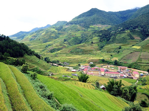 Tổng cục Lâm nghiệp phát động cuộc thi ảnh “Rừng và con người” ảnh 1