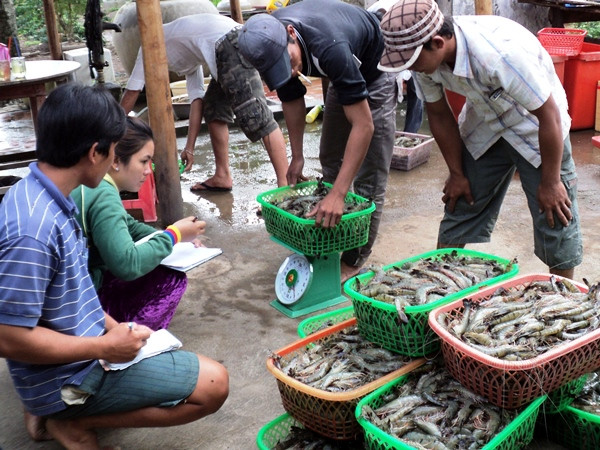Yêu cầu chuyển giao nhân lực làm công tác thủy sản cho Chi cục Thú y ảnh 1