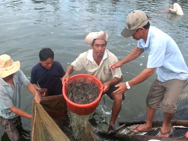 Doanh nghiệp Việt Nam đầu tiên đạt chứng nhận thủy sản bền vững ảnh 1