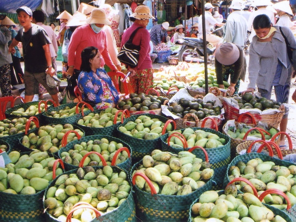 Đồng Tháp đột phá tái cơ cấu 5 nhóm hàng nông nghiệp chủ lực ảnh 1