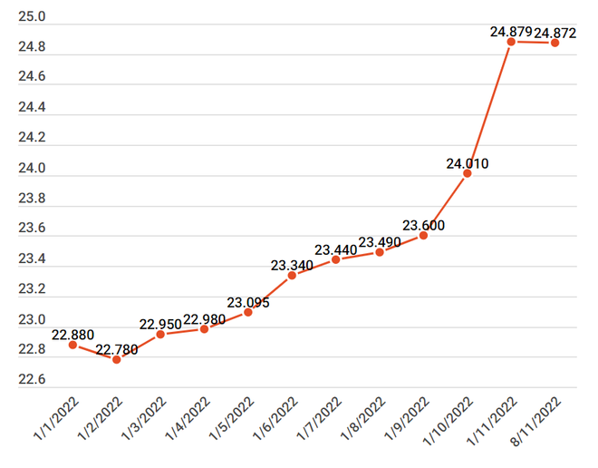 Nhiều giải pháp để giữ ổn định tỷ giá và mặt bằng lãi suất ảnh 2
