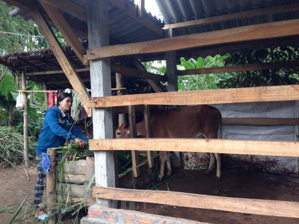 Cho vay tài chính vi mô: Giúp phụ nữ yếu thế thoát nghèo ảnh 2