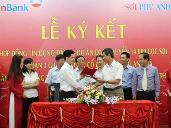 Tài trợ 140 tỷ đồng cho dự án đầu tư dây chuyền 14.000 cọc sợi ảnh 1