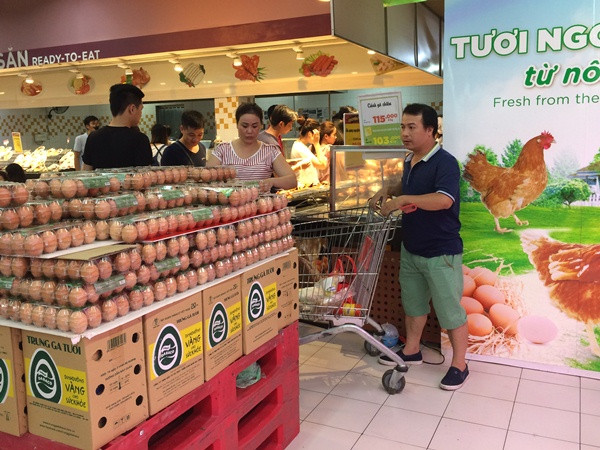 Giá trứng gia cầm tụt đáy vì phản ứng dây chuyền từ thịt lợn? ảnh 1