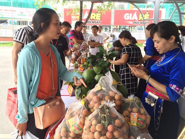 Lô vải thiều đầu tiên sang Thái Lan sẽ được xuất vào cuối tháng Sáu ảnh 1