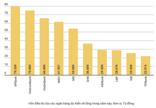 Cuộc đua tăng vốn điều lệ ngân hàng tiếp tục vào guồng quay mới ảnh 2