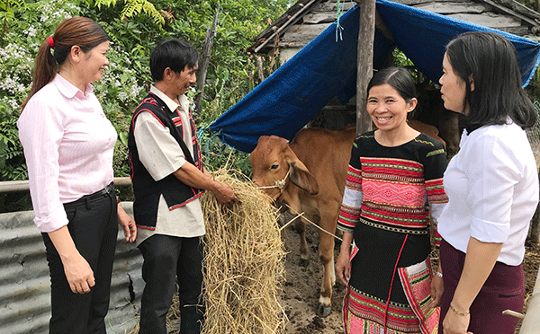 Vợ chồng ông Đinh Hồng Sâm phấn khởi khoe với cán bộ hội, đoàn thể và Ngân hàng Chính sách xã hội về cuộc sống dần khá giả nhờ vay vốn chính sách. (Ảnh: Vietnam+) Bình Định thực hiện tốt Chỉ thị 40 về tín dụng chính sách ảnh 2