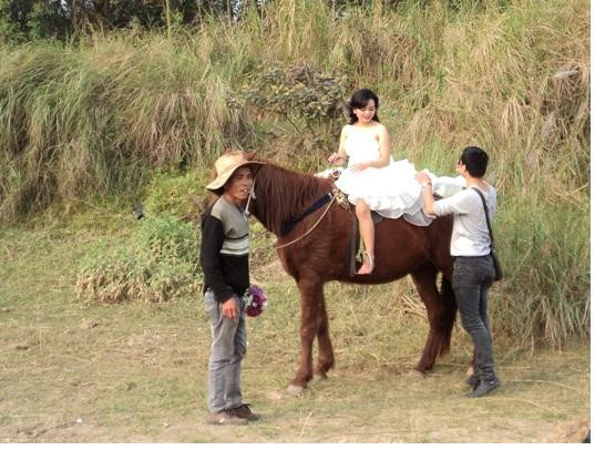 Cho thuê ngựa phục vụ cô dâu, chú rể chụp ảnh cưới. (Ảnh: Thanh Tâm/Vietnam+) Ảnh cưới năm Giáp Ngọ, trào lưu "trên yên ngựa" ảnh 1