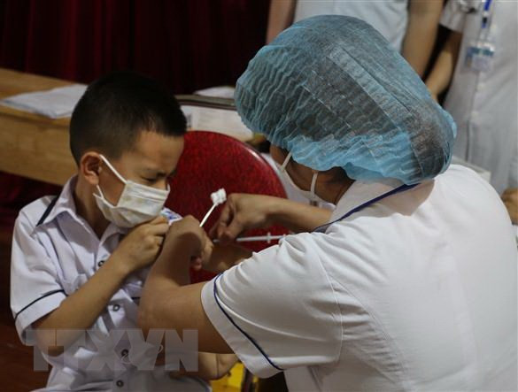 TP.HCM: Công bố công khai việc phân bổ các loại vaccine ảnh 1