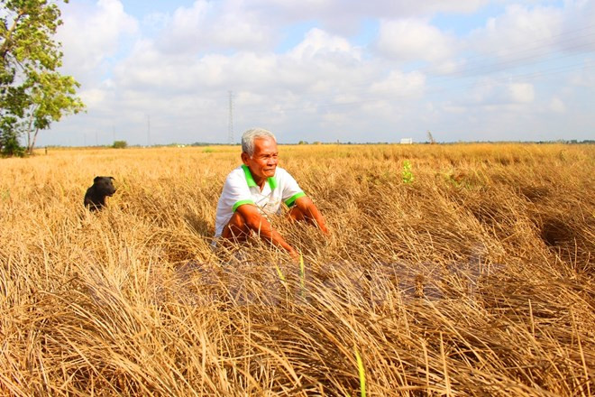 Nông nghiệp Việt: Cần lấy chất lượng và giá trị gia tăng làm cốt lõi ảnh 1