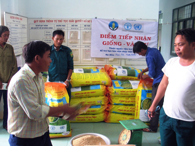 Phát giống hỗ trợ cho người dân ở tỉnh Ninh Thuận. (Ảnh: Công Thử/TTXVN) Xuất cấp miễn phí 2.399 tấn hạt giống khắc phục hậu quả thiên tai ảnh 1