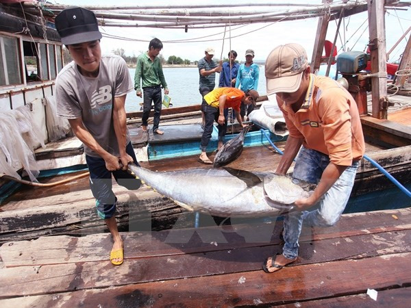 Điểm các mặt hàng xuất khẩu “tỷ đô” năm 2016 của ngành nông nghiệp ảnh 1
