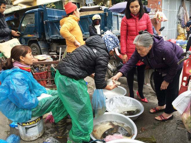 Tiểu thương bán cá chép đỏ dửng dưng 'hét giá'' ngày ông Công, ông Táo ảnh 11